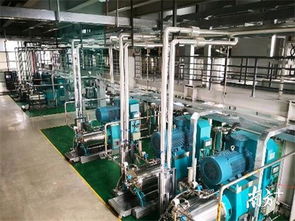 惠州影響力早報 新浪專題