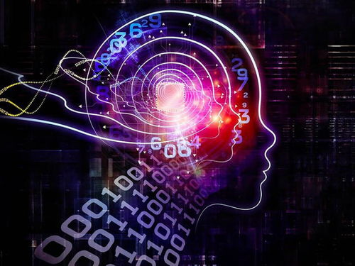 網(wǎng)絡(luò)設(shè)備頻道